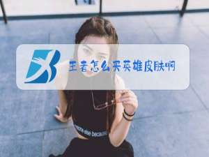 王者怎么买英雄皮肤啊