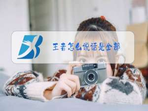 王者怎么说话是全部