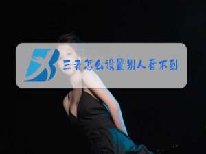 王者怎么设置别人看不到常用英雄