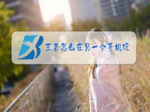 王者怎么在另一个手机玩
