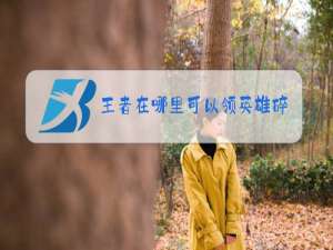 王者在哪里可以领英雄碎片