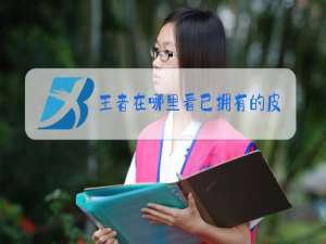 王者在哪里看已拥有的皮肤