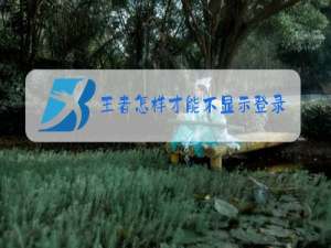 王者怎样才能不显示登录时间