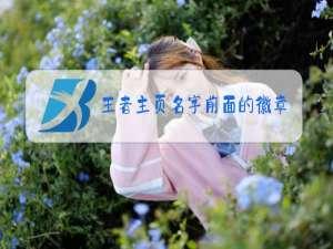 王者主页名字前面的徽章是什么