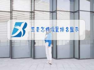 王者怎样设置排名显示