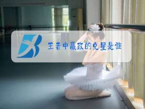王者中嬴政的克星是谁