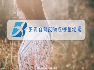 王者自制皮肤在哪里投票