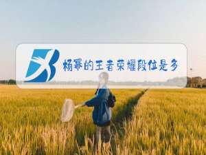 杨幂的王者荣耀段位是多少