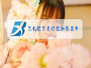 怎么把王者好友加黑名单