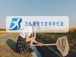 怎么查看王者赛季记录