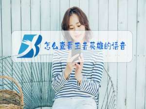 怎么查看王者英雄的语音包