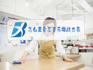 怎么查看王者英雄战力表现分