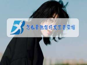 怎么看微信好友王者荣耀英雄