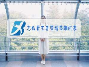 怎么看王者荣耀英雄的表现分