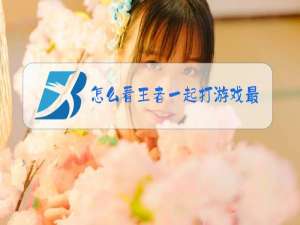 怎么看王者一起打游戏最多的队友