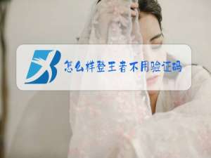 怎么样登王者不用验证码