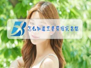 怎么知道王者荣耀实名信息