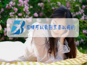 在哪可以看到王者以前的区