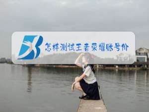怎样测试王者荣耀账号价值