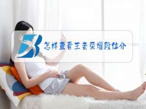 怎样查看王者荣耀段位介绍