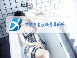 转转王者皮肤是真的吗