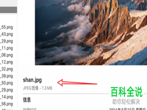 ​mac系统苹果电脑怎么使用系统自带软件修改图片大小