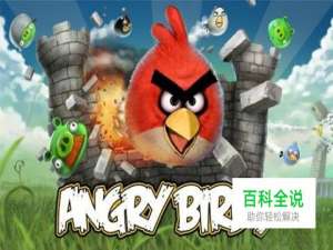 《愤怒的小鸟》官方视频攻略-操作简单（一）