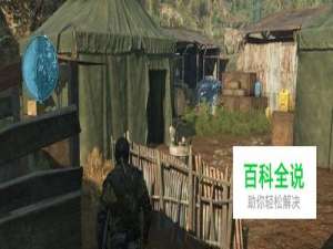 《森林》新手在哪里建家好？