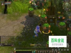 《武林至尊》北冥-双刀PK个人分析二