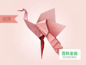 【每日一练】童年折纸的记忆