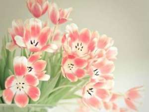 2016舒服清新的qq网名