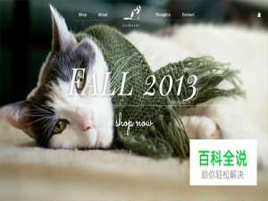 30个使用全屏照片的网页设计例子