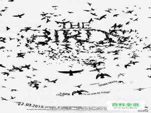 50个醒目的黑白色调版面设计