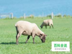 6个按下快门前必须检查的关键设定