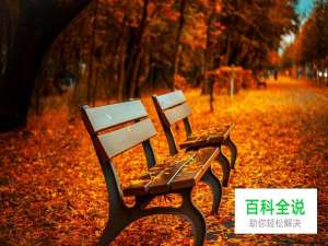 6招拍出具感觉的小品摄影