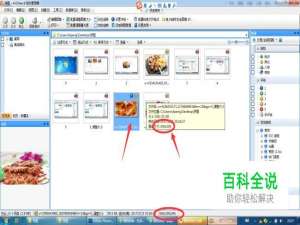 ACDSee相片管理器如何进行批量调整图像大小