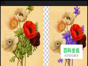 after effects怎么抠像怎么换颜色？AE