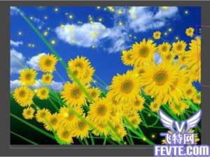 After Effects 打造金色向日葵花田