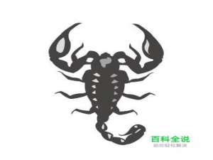 ai素材制作之蝎子篇