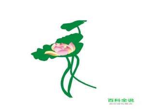 ai素材制作之荷花篇