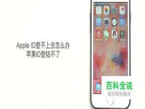 Apple ID登不上去怎么办
