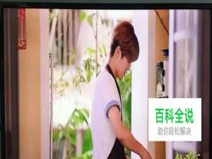 爱奇艺怎么投到电视上播放 爱奇艺投屏教程