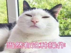 比百度网盘好用的不限速的软件