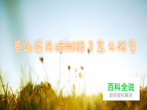 保存在相册的照片被删除怎么恢复