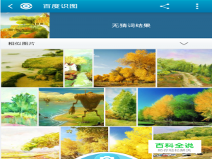 百度识图手机版APP怎么用