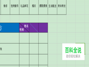 表格里边如何画斜线添加文字