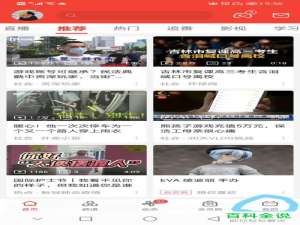 bilibili手机端怎么进行专栏领域认证