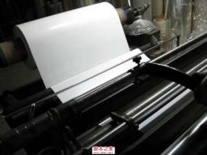 白片是什么?什么是白片?