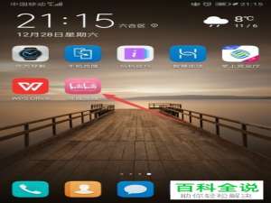 B站哔哩哔哩APP中的收起应援团消息功能怎么设置开启