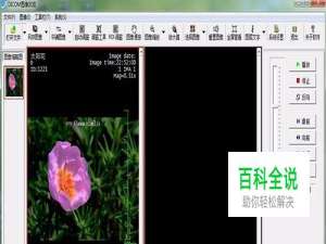 dcm文件怎么打开
